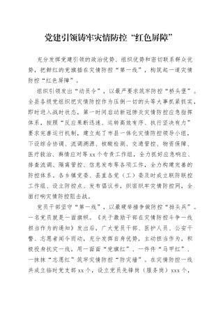 党建引领铸牢灾情防控“红色屏障”