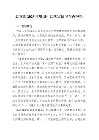 党支部2023年组织生活落实情况自查报告