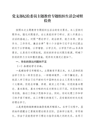党支部纪检委员主题教育专题组织生活会对照检查