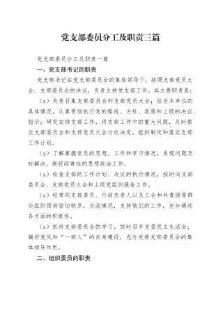 党支部委员分工及职责三篇
