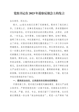 党组书记在2023年巡察反馈会上的发言