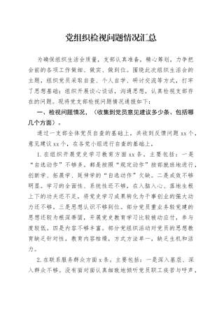 党组织检视问题情况汇总