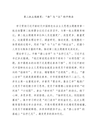 第二批主题教育：“独”与“众”的平衡法