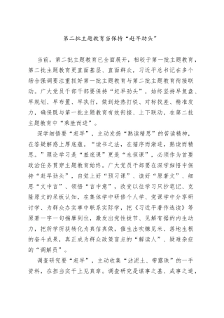 第二批主题教育当保持“赶早劲头”