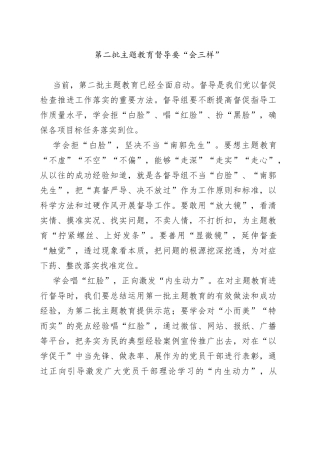 第二批主题教育督导要“会三样”