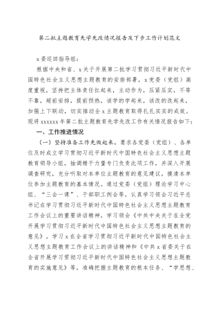 第二批主题教育先学先改情况报告及下步工作计划总结汇报第
