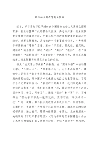 第二批主题教育要见实效