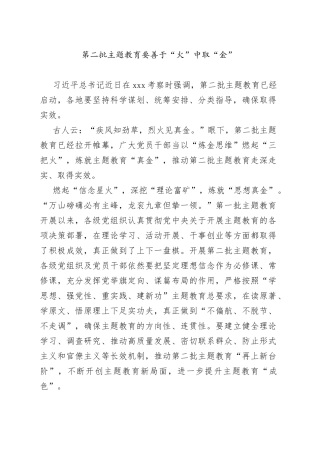 第二批主题教育要善于“火”中取“金”