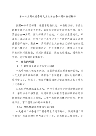 第一批主题教育专题民主生活会个人剖析查摆材料
