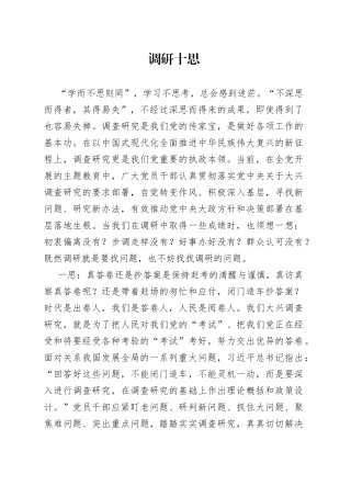 调研十思