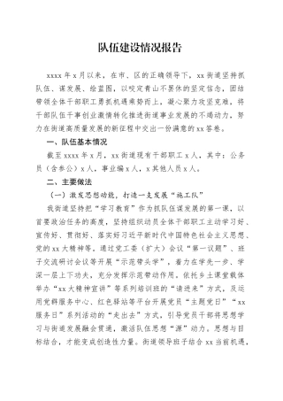 队伍建设情况报告