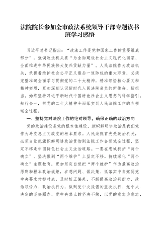 法院院长参加全市政法系统领导干部专题读书班学习感悟