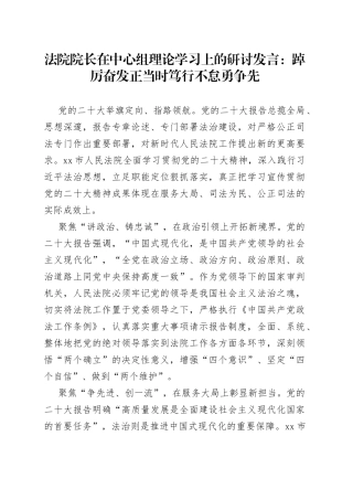 法院院长在中心组理论学习上的研讨发言：踔厉奋发正当时+笃行不怠勇争先
