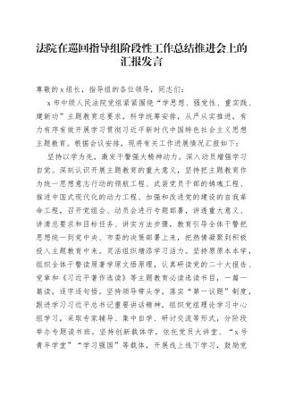 法院在巡回指导组阶段性工作总结推进会上的汇报发言
