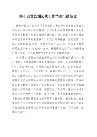 防止返贫监测帮扶工作汇报总结报告