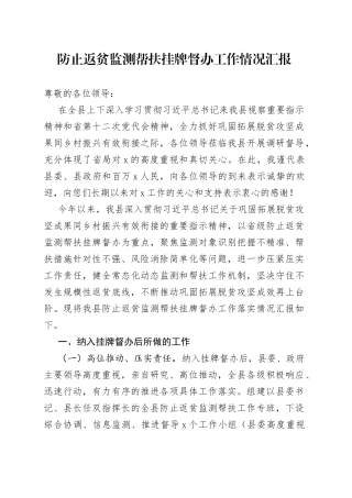 防止返贫监测帮扶挂牌督办工作情况汇报