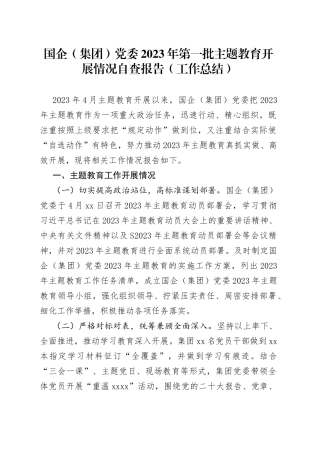 分享283—国企（集团）党委2023年第一批主题教育开展情况自查报告（工作总结）