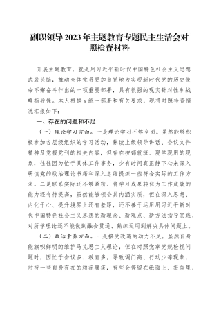 副职领导2023年主题教育专题民主生活会对照检查材料