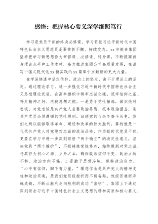 感悟：把握核心要义 深学细照笃行