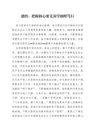 感悟：把握核心要义深学细照笃行