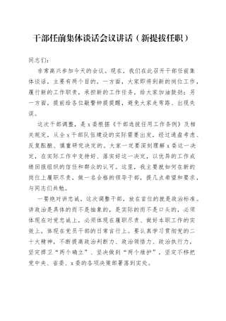 干部任前集体谈话会议讲话（新提拔任职）