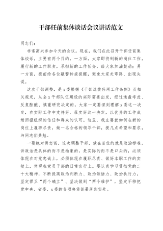 干部任前集体谈话会议讲话新提拔任职