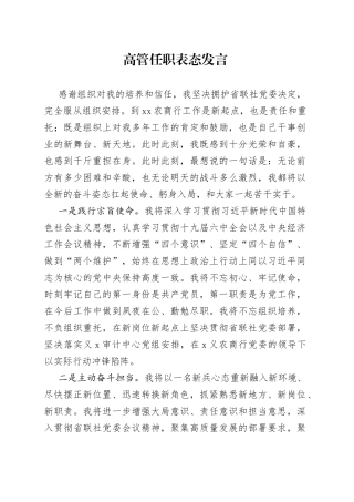 高管任职表态发言