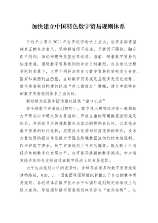 加快建立中国特色数字贸易规则体系