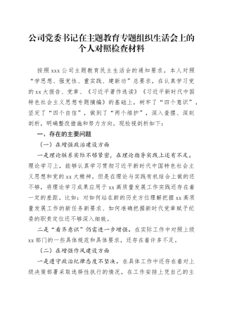 公司党委书记在主题教育专题组织生活会上的个人对照检查材料