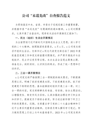 公司未巡先改自查报告c生活会三会一课发展党员党费企业工作汇报总结