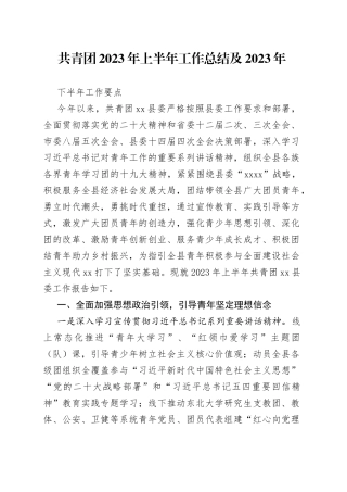 共青团2023年上半年工作总结及2023年下半年工作要点