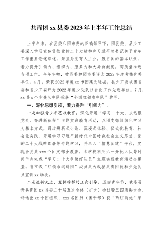 共青团县委2023年上半年工作总结