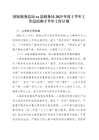 国家税务总局xx县税务局2023年度上半年工作总结和下半年工作计划