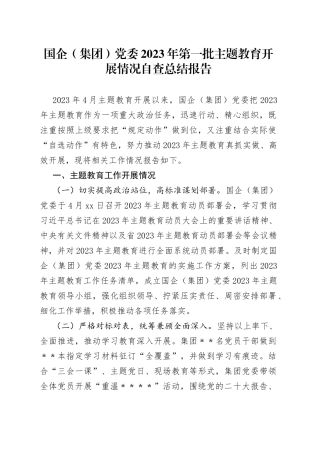 国企（集团）党委2023年第一批主题教育开展情况自查总结报告