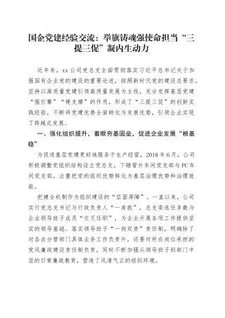 国企党建经验交流：举旗铸魂强使命担当“三提三促”凝内生动力