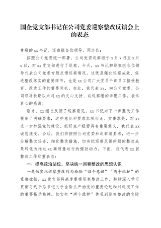 国企党支部书记在公司党委巡察整改反馈会上的表态