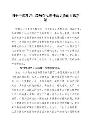 国企干部发言：踔厉奋发担使命勇毅前行谱新篇