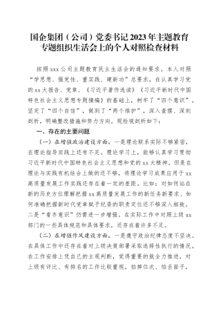 国企集团（公司）党委书记2023年主题教育专题组织生活会上的个人对照检查材料