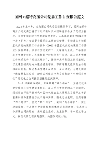 国网x超特高压公司团队委工作自查报告（工作汇报总结）