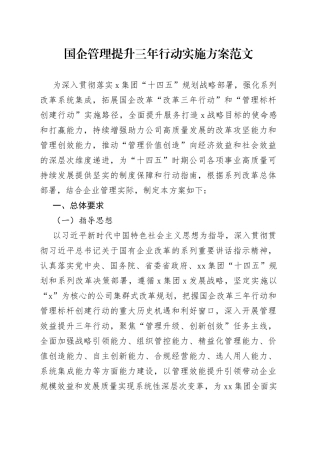 国有企业管理提升三年行动实施方案集团公司工作