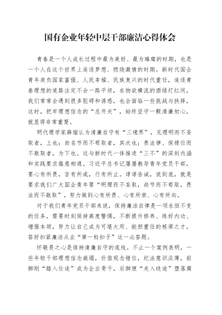 国有企业年轻中层干部廉洁心得体会