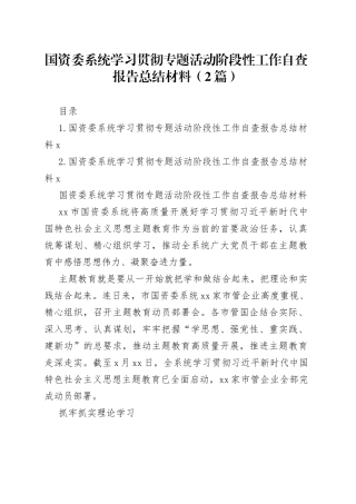 国资委系统学习贯彻专题活动阶段性工作自查报告总结材料（2篇）