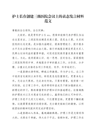 护士长创建三级医院会议表态发言材料