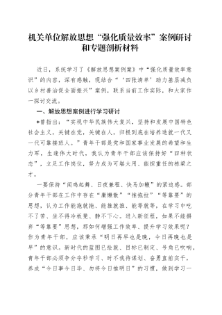 机关单位解放思想“强化质量效率”案例研讨和专题剖析材料