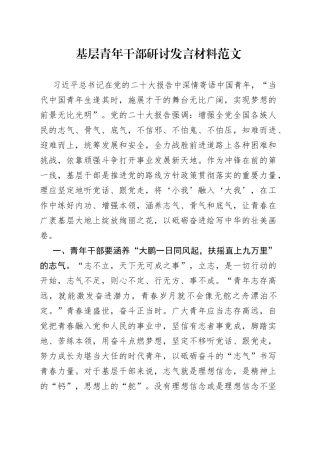 基层青年干部研讨发言材料年轻