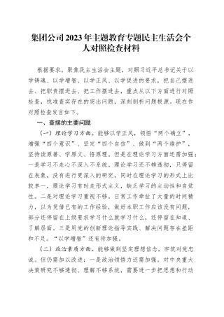 集团公司2023年主题教育专题民主生活会个人对照检查材料