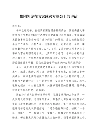 集团领导在防灾减灾专题会上的讲话