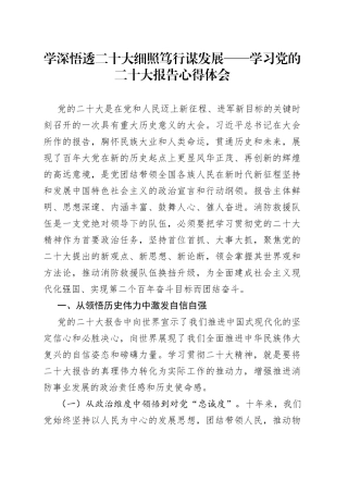 消防救援队伍学习党的二十大报告心得体会