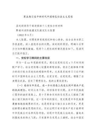 消防救援支队副支队长个人党性分析发言材料