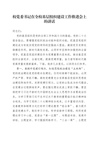 校党委书记在全校基层组织建设工作推进会上的讲话